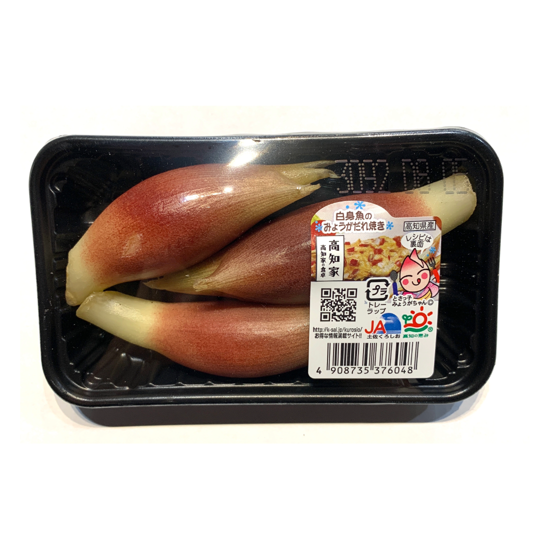 MYOGA 茗荷 1pk – HANAMARU JAPANESE MARKETPLACE