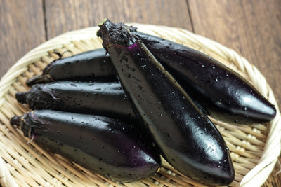 中長なす 1LB EGG PLANT  (JAPANESE SEED) GROW IN LA NASU