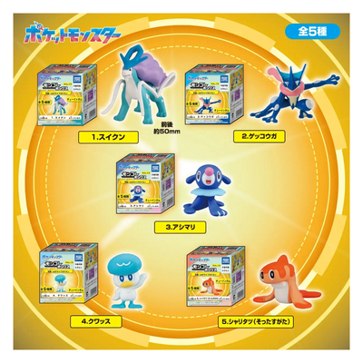 POKEMON MONCOLLE VOL.13