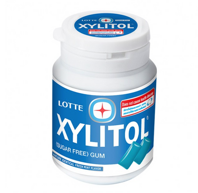 LOTTE XYLITOL FRESH MINT GUM