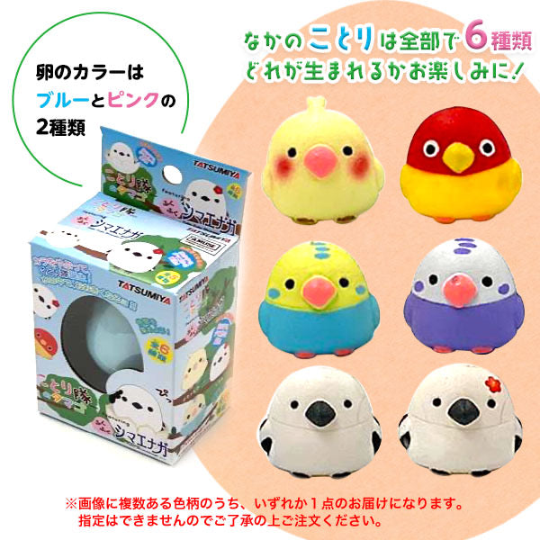 SHIMIZU KOTORITAINO TAMAGO