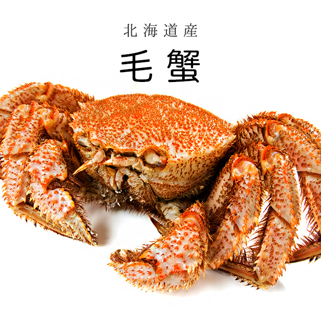 Hokkaido Horsehair Crab 毛蟹 北海道産 (Pre-order Item) – HANAMARU Hokkaido Horsehair Crab 毛蟹 北海道産 (Pre-order Item) – HANAMARU