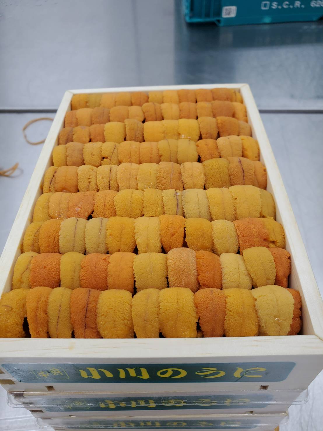 Uni Red Sea Urchin Premium from Hokkaido300g-400g box 豊洲直送