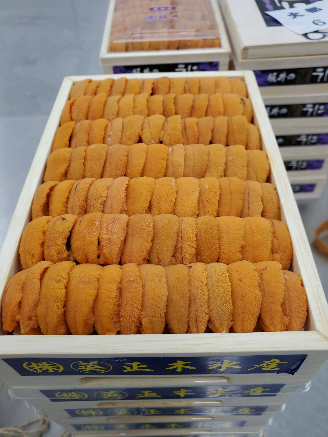 Uni Red Sea Urchin Med Premium from Hokkaido250g box 豊洲直送
