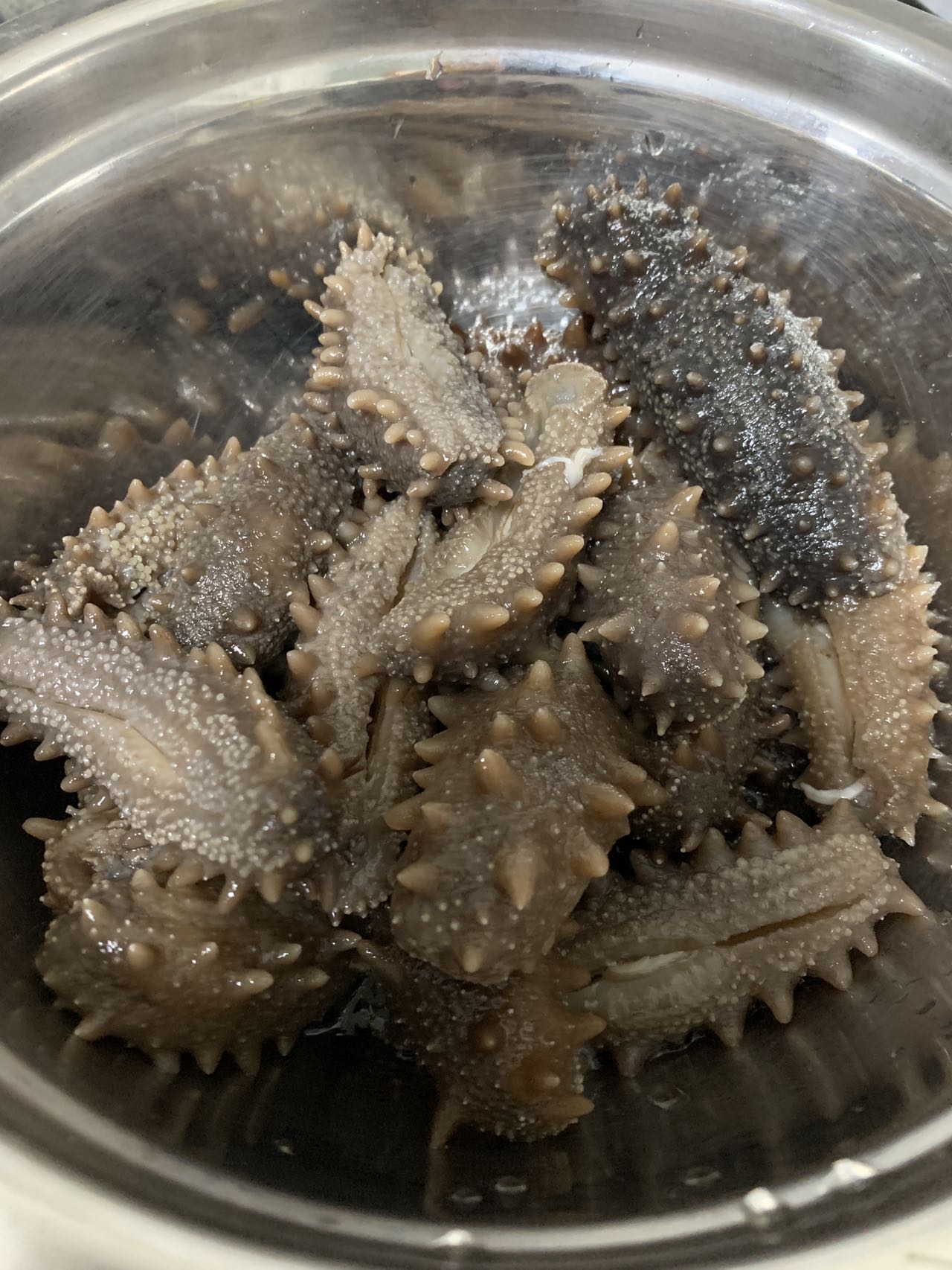 北海道産最高級乾燥なまこ 250g DRY SEA CUCUMBER GIFT BOX【乾燥海參禮盒】