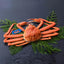 Japanese Matsuba Kani Crab 松葉蟹 (Pre-order Item)