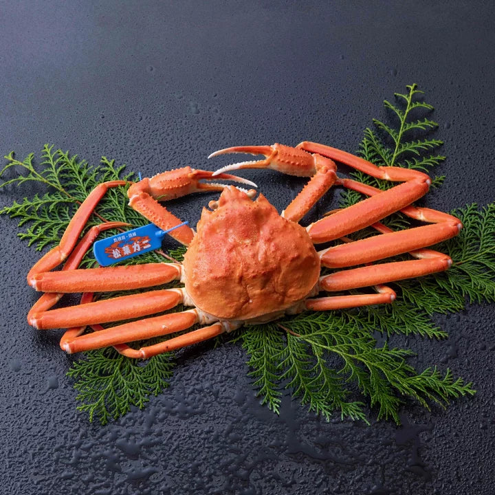 Japanese Matsuba Kani Crab 松葉蟹 (Pre-order Item)