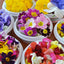 EDIBLE FLOWER JAPAN
