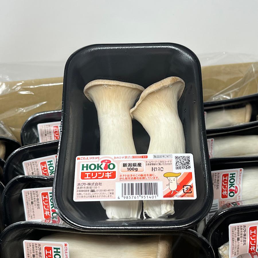 日本産】KING TRUMPET MUSHROOM 100G FROM JAPAN – HANAMARU JAPANESE