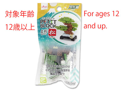 PETIT BLOCK BONSAI PINE TREE