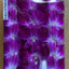ORCHID FLOWER 1 PK