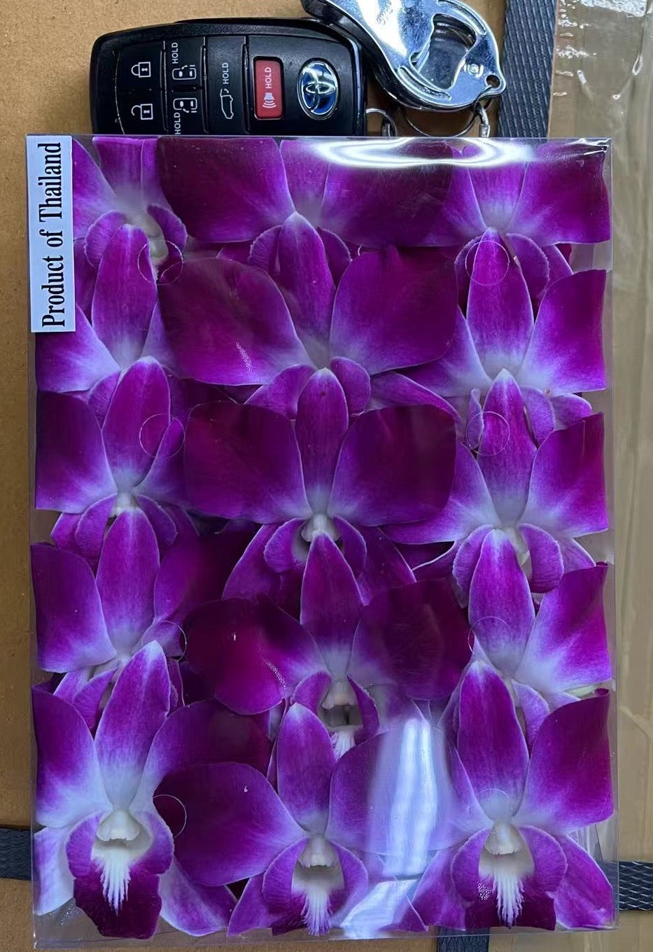 ORCHID FLOWER 1 PK