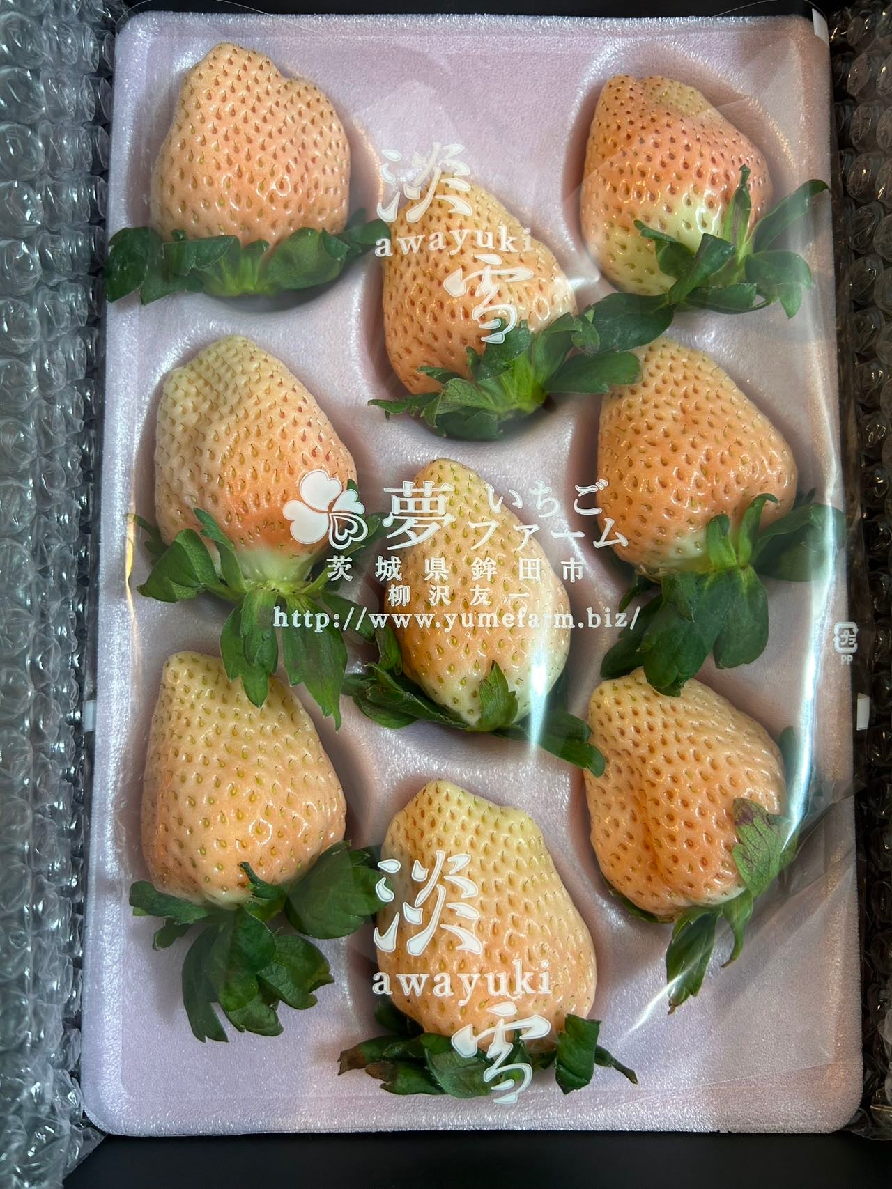最高級ピンク イチゴ  PREMIUM JAPANESE PINK STRAWBERRY