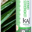 KAI GINGER VODKA SODA 330ML