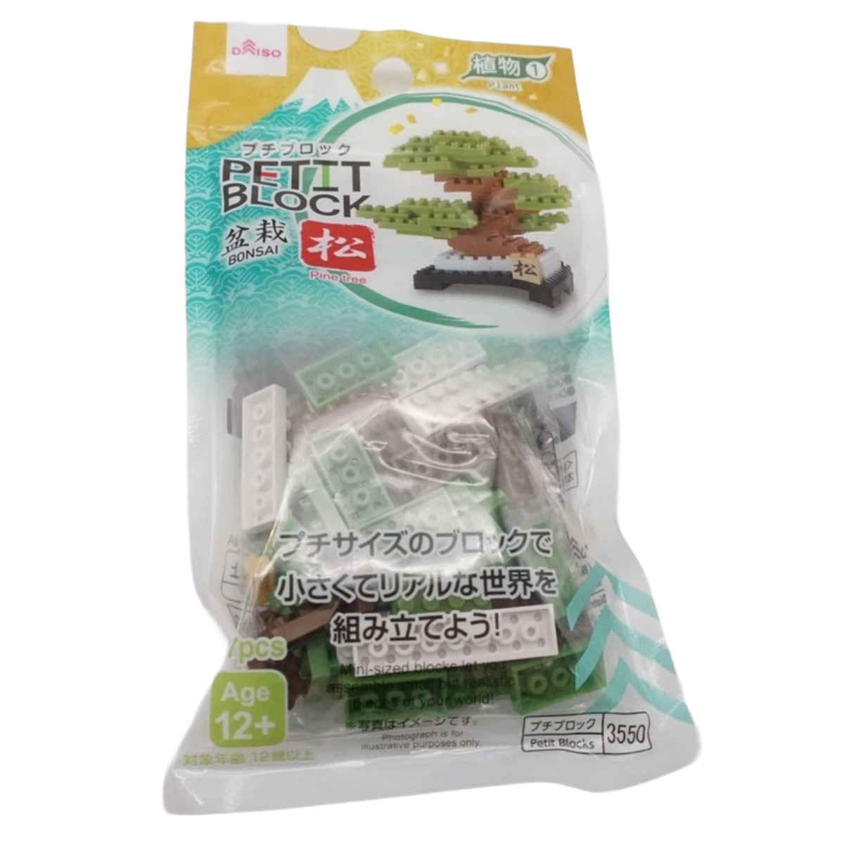 PETIT BLOCK BONSAI PINE TREE