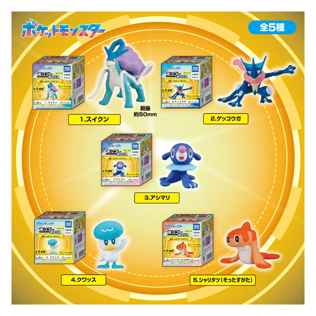 POKEMON MONCOLLE VOL.13