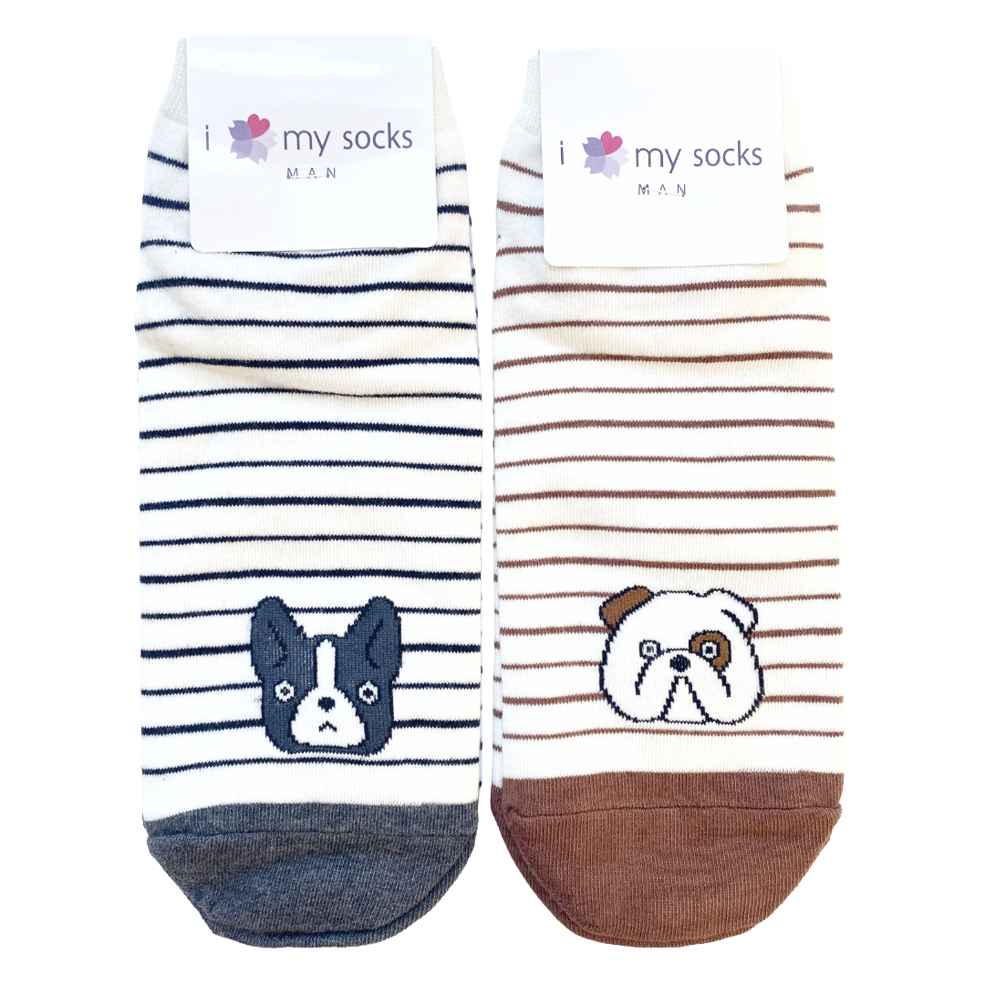 SOCKS STRIPE DOG