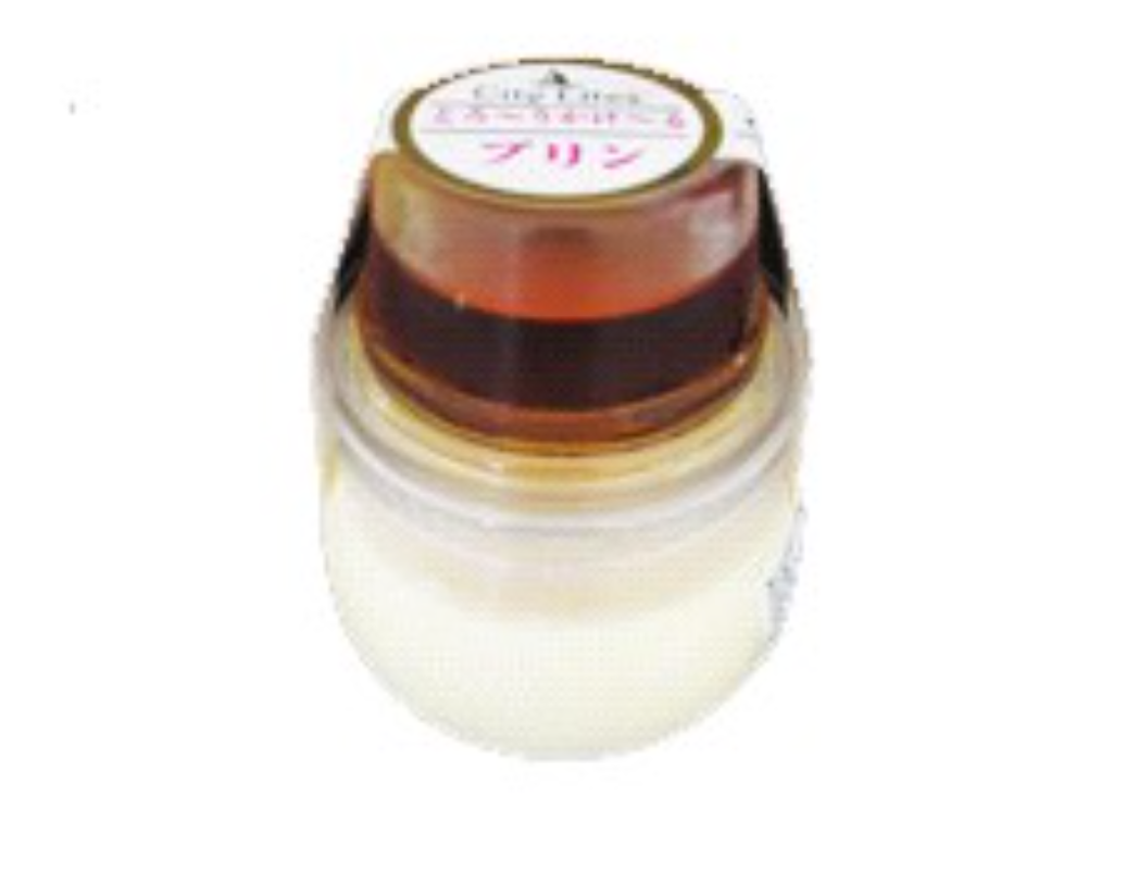 CITY LITES PUDDING TORORI KAKERU