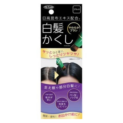 TO-PLAN HIDAKA POINT HAIRCOLOR BLACK