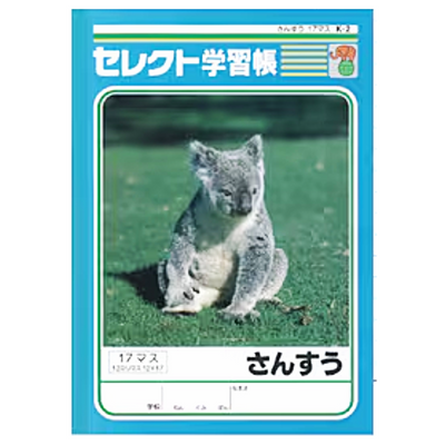 B5 MATHMATICS 17CELLS NOTEBOOK