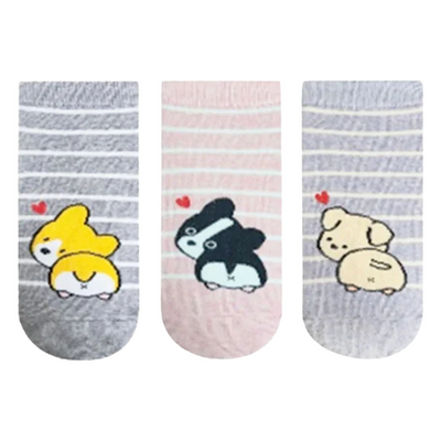 SOCKS LOOKING BACK PUPPY