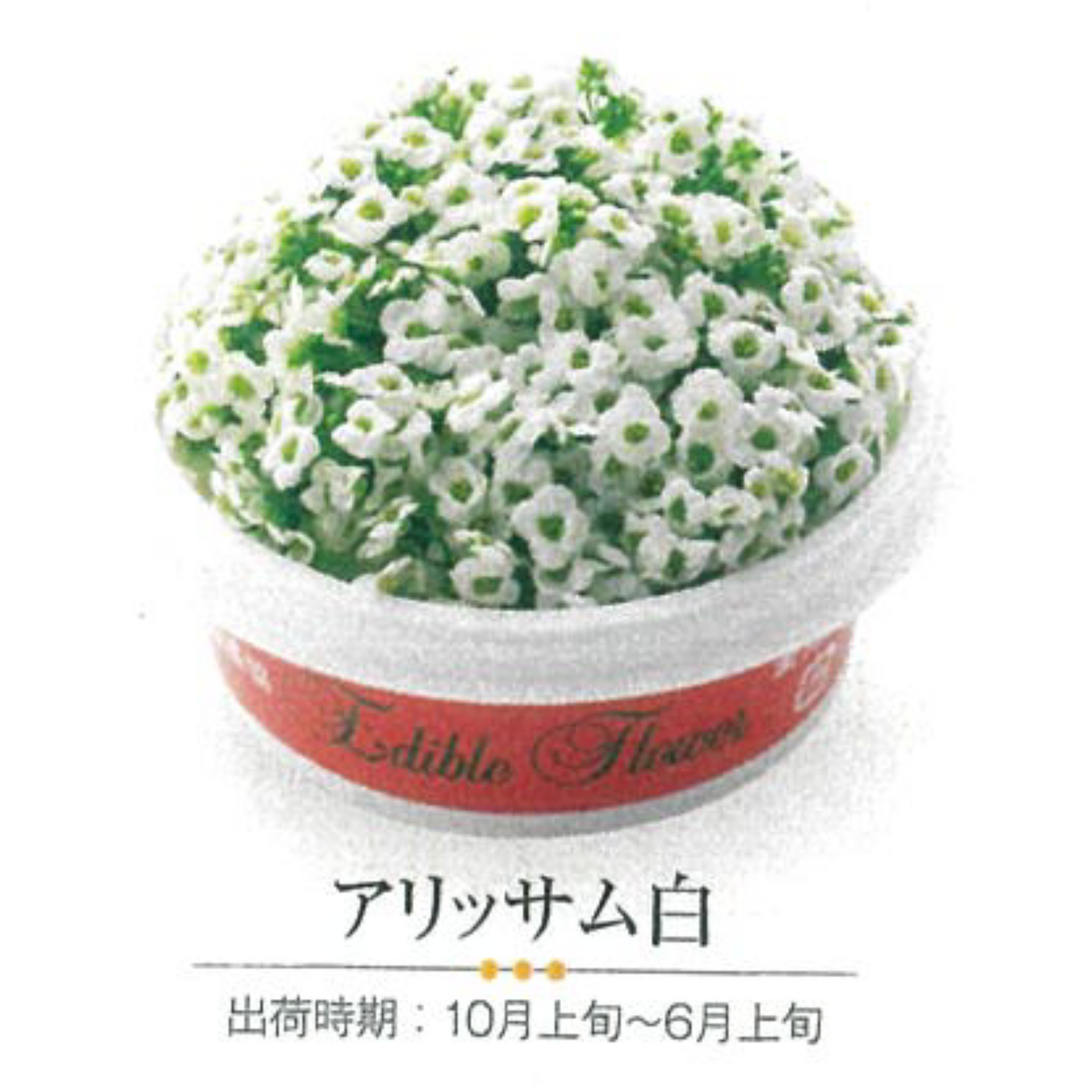EDIBLE FLOWER JAPAN