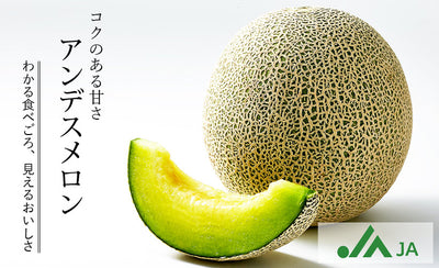 FRESH MELON FROM JAPAN　日本産 格安 メロン 1.4-1.6KG