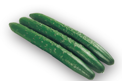 キュウリ CUCUMBER  (JAPANESE SEED) GROW IN LA