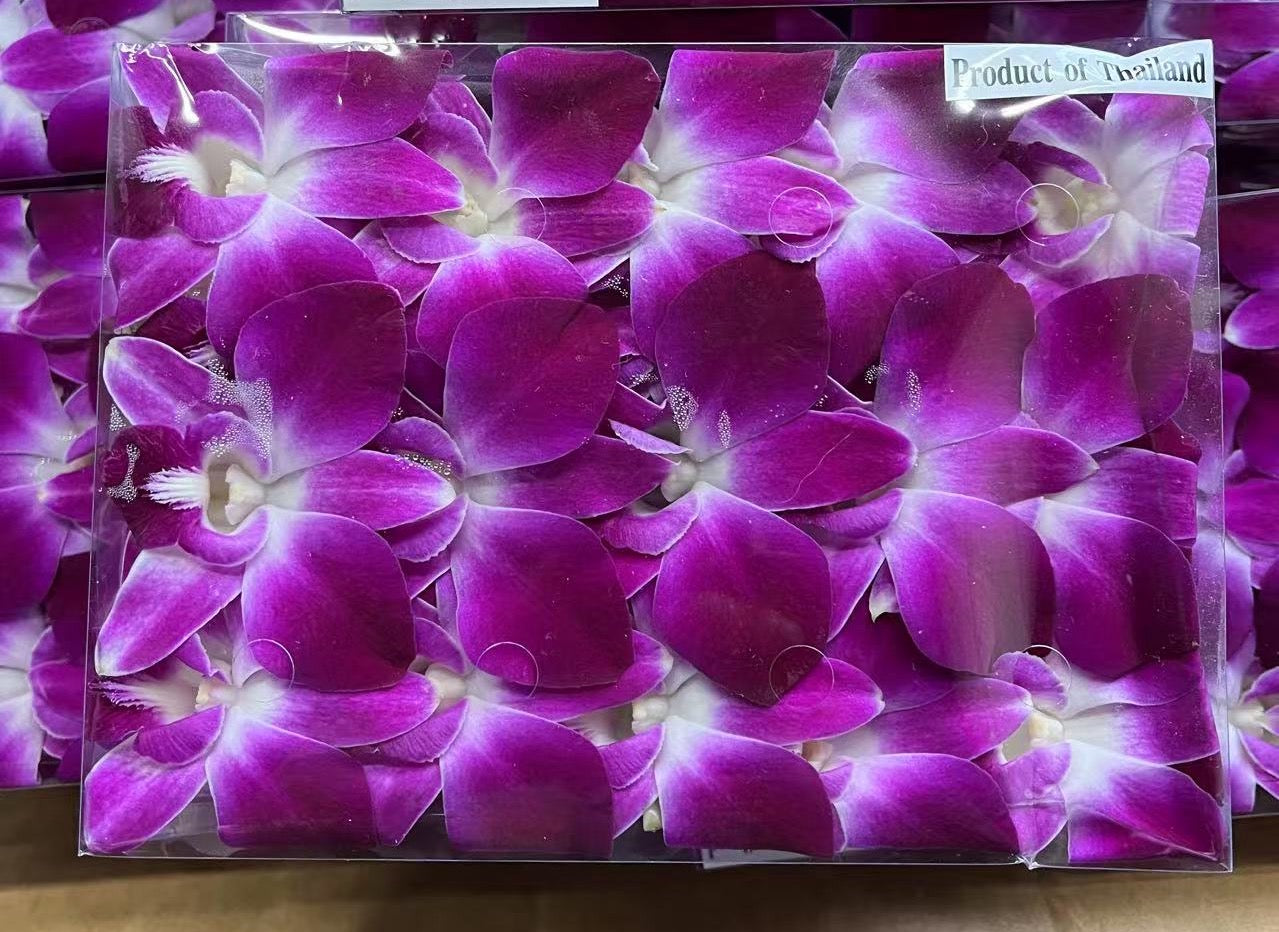 ORCHID FLOWER 1 PK