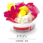 EDIBLE FLOWER JAPAN