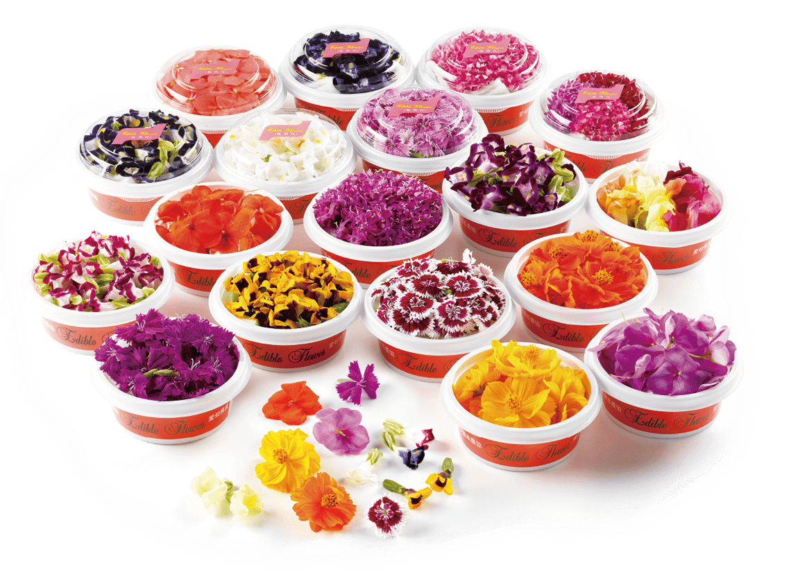 EDIBLE FLOWER JAPAN