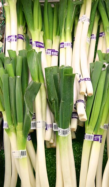 ネギ Leek Tokyo-Negi 東京ネギ 0.5lb – HANAMARU JAPANESE MARKETPLACE