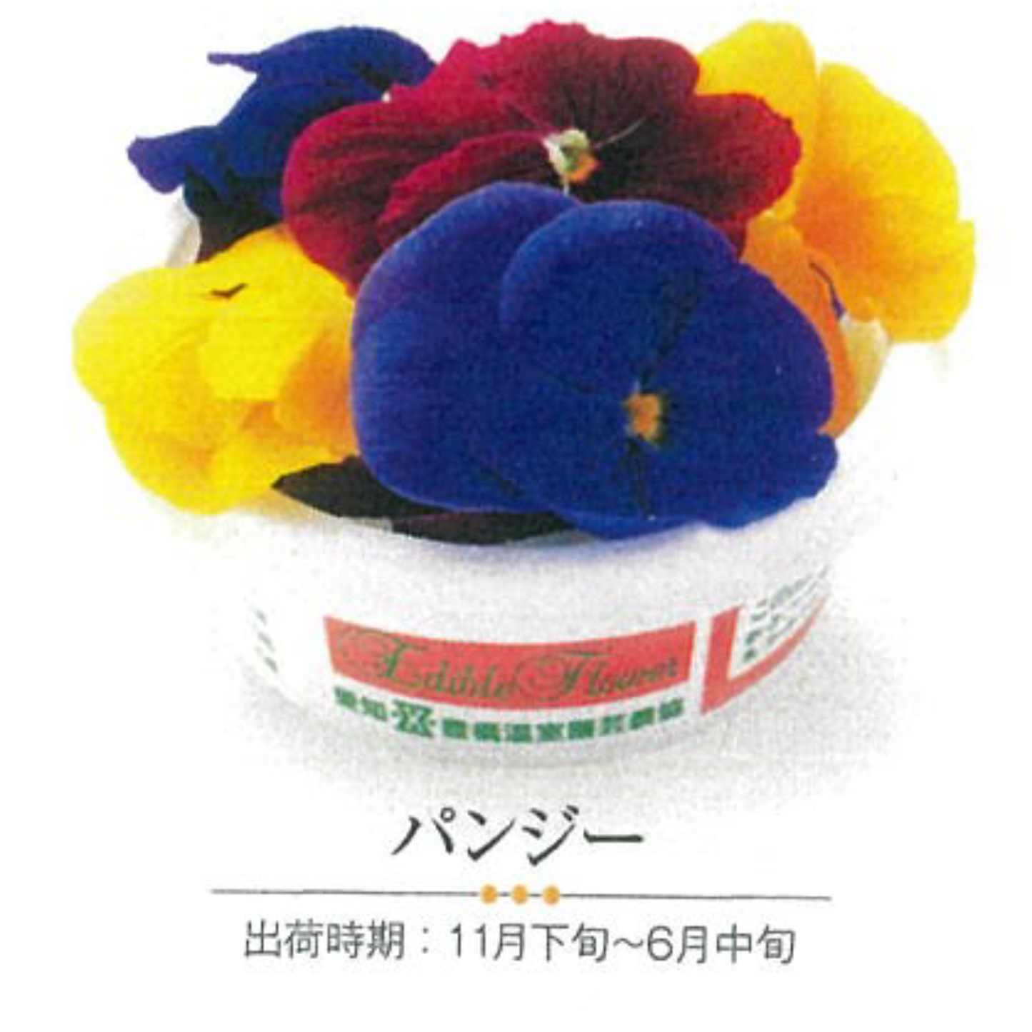 EDIBLE FLOWER JAPAN