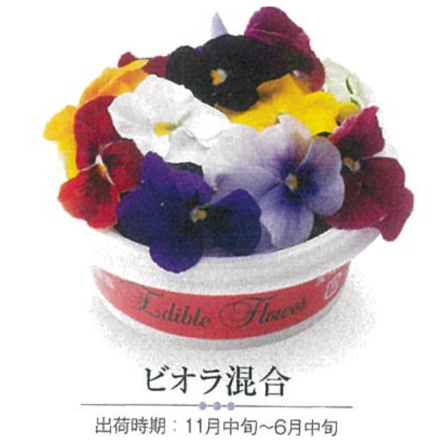 EDIBLE FLOWER JAPAN