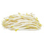 SOY BEAN SPROUTS 1.0lb