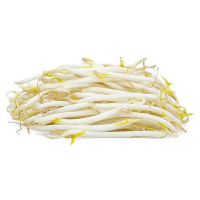 SOY BEAN SPROUTS 1.0lb