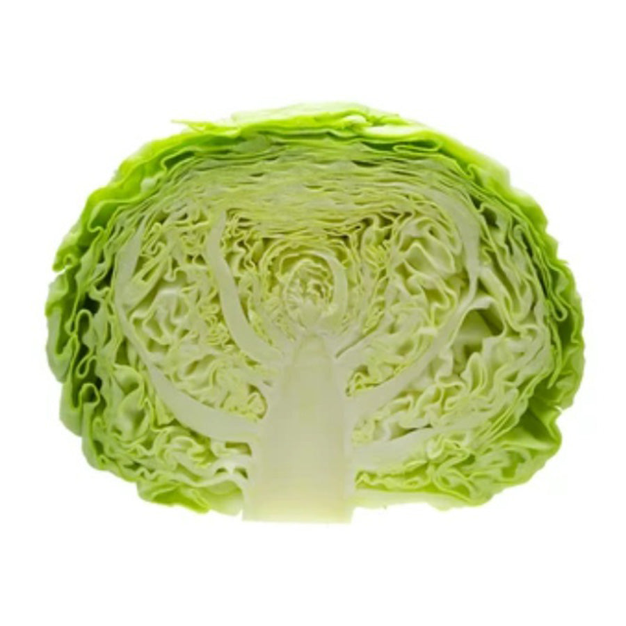 cabbage1.5lb