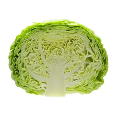cabbage1.5lb