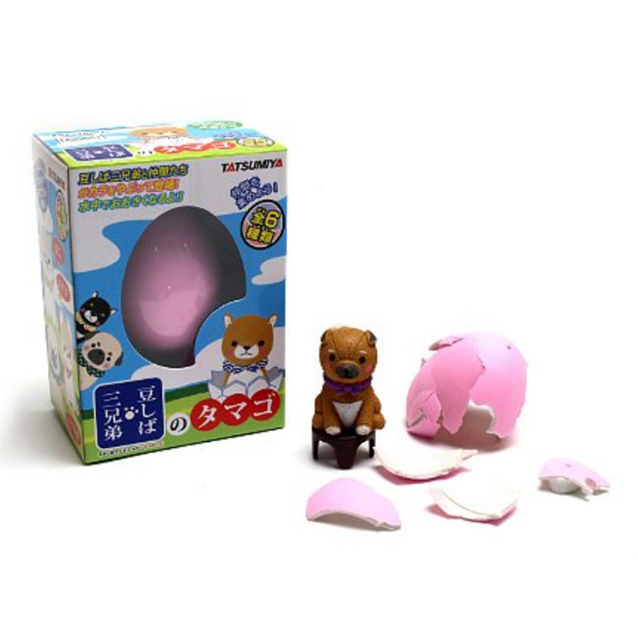 SHIMIZU MAME SHIBA 3KYOUDAI