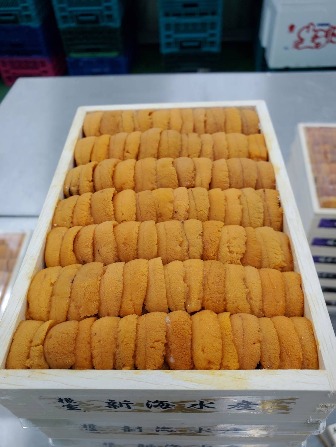 Uni Red Sea Urchin Med Premium from Hokkaido250g box 豊洲直送