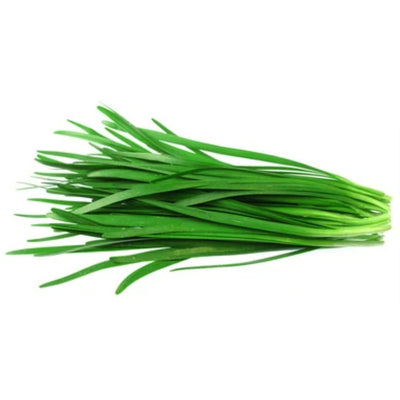 Chinese Chive 0.5lb