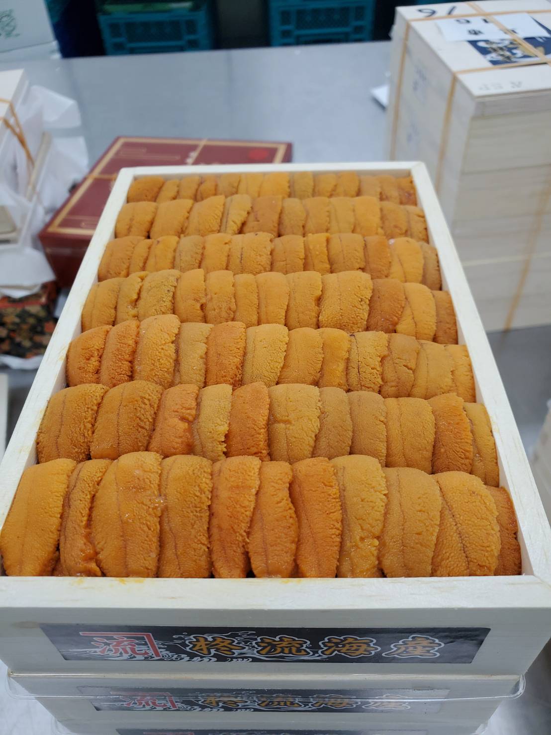 Uni Red Sea Urchin Premium from Hokkaido300g-400g box 豊洲直送!北海道産生うに